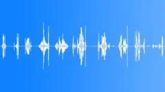 HUMAN, DRINKSound Effect