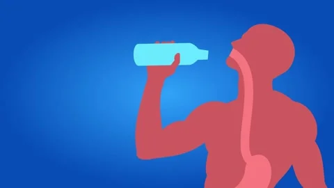 Human drinking water 2D animation Stock Footage 317144466