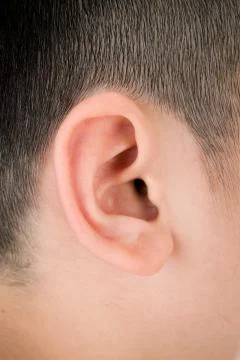Human ear closeup Foto stock