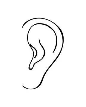 Human Ear Doodle Illustration Hearing and Anatomy Concept Stock Illustration