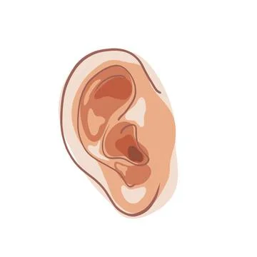 Human ear flat cartoon  イラスト素材