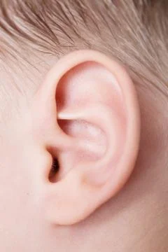Human ear Stock Photos