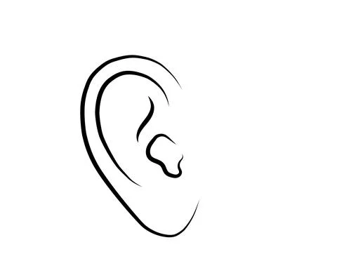 Human ear on a white background. Sketch. Stock Illustration