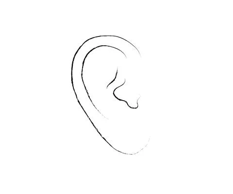Human ear on a white background. Sketch. Vector. Stock Illustration