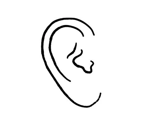 Human ear on a white background. Vector illustration. Stock Illustration
