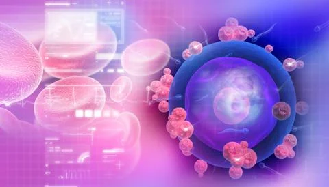 Human egg cell in abstract design Ilustración de archivo