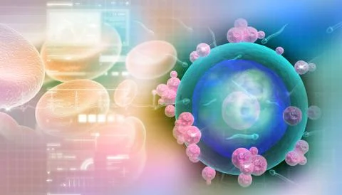 Human egg cell in abstract design Ilustración de archivo