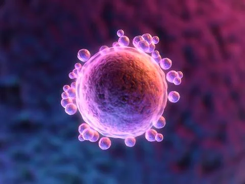 Human egg cell, artwork Stock Illustration