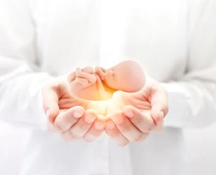 Human embryo in hands Stock-Fotos