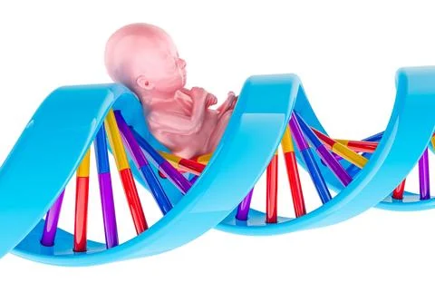 Human embryo inside DNA helix. Genetics heredity and reproductive biotechno.. Stock Illustration