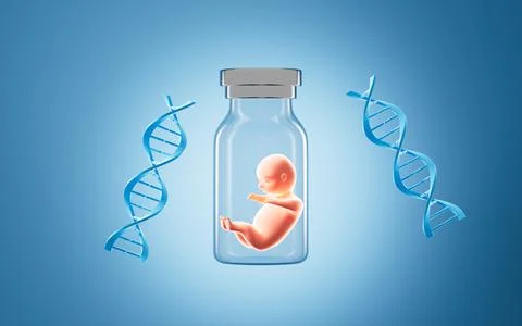 Human embryo model, test tube baby , 3d rendering. Stock Photos