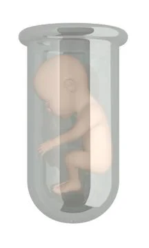Human embryo in vitro Stock Illustration