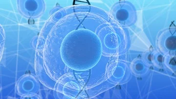 Human embryonic stem cells molecular biochemistry research technology Stock Footage 85771640