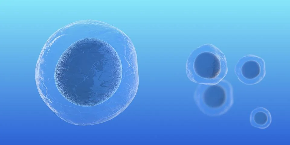 Human embryonic stem cells molecular biochemistry research technology Stock Illustration