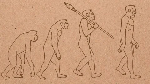 Human Evolution. 4 Stages. Hand Drawn Animation. Stock Footage 265817553