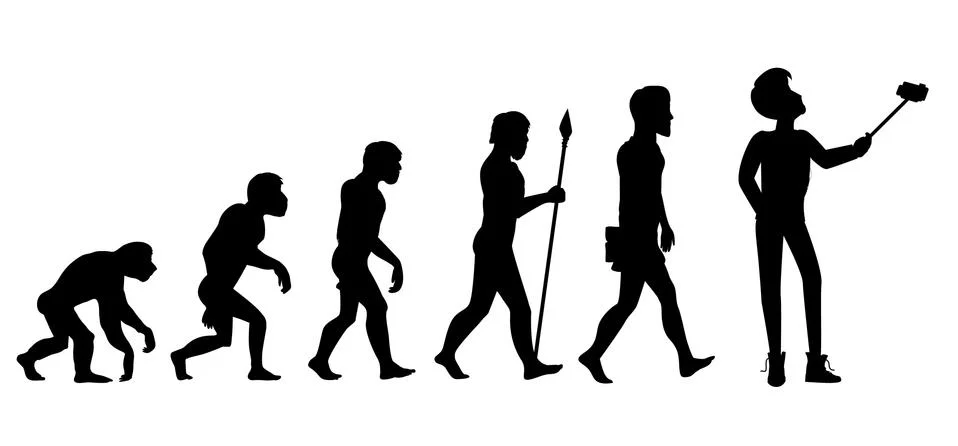 Human Evolution from Ape to Man Stock Illustration