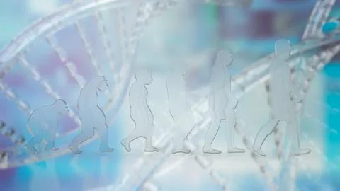The Human evolution on DNA background  3d rendering Illustrazione stock