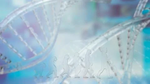 The Human evolution on DNA background  3d rendering Illustrazione stock