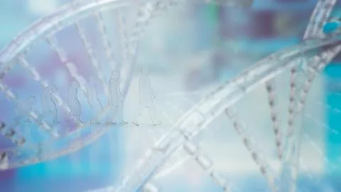 The Human evolution on DNA background  3d rendering 스톡 일러스트
