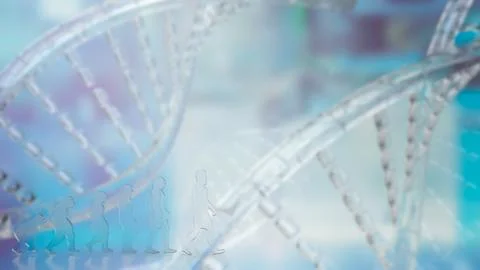 The Human evolution on DNA background  3d rendering Illustrazione stock