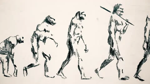 Human Evolution Drawing Stock Footage 156705614