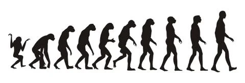 Human evolution Stock Illustration