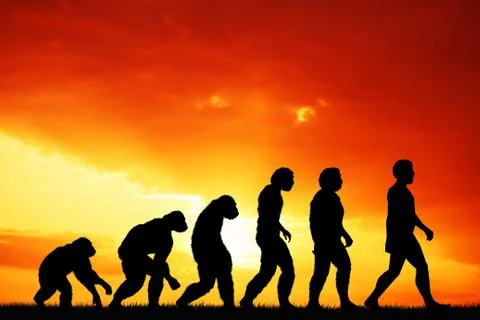 Human evolution Stock Illustration
