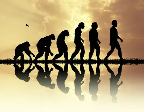 Human evolution Stock Illustration