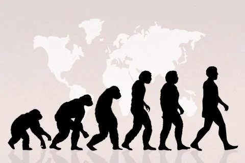 Human evolution Stock Illustration