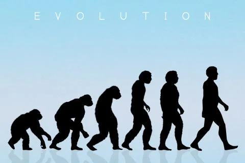 Human evolution Stock Illustration