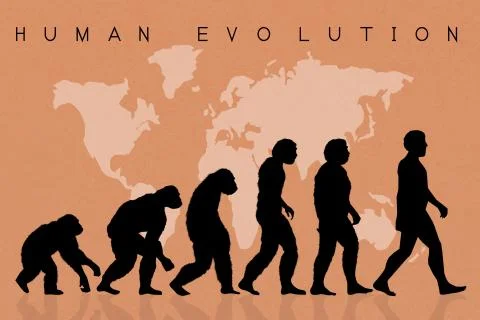 Human evolution Stock-Illustration