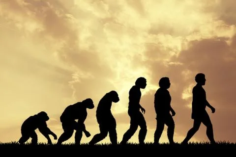 Human evolution Stock Illustration