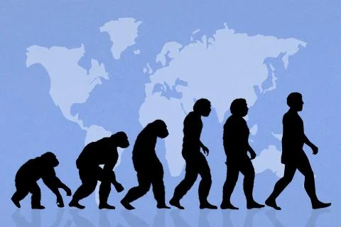 Human evolution Stock Illustration