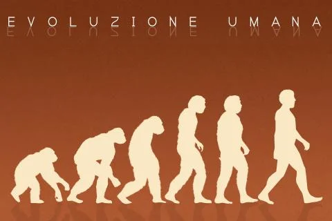 Human evolution Stock Illustration