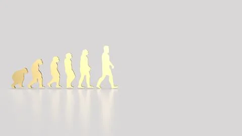 The human evolution image for education or sci concept 3d rendering Stock Illustration