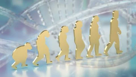 The human evolution image for education or sci concept 3d rendering Stock Illustration