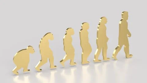 The human evolution image for education or sci concept 3d rendering Stock Illustration