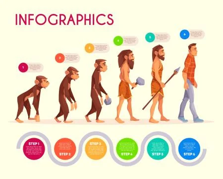 Human evolution infographics time line transform Stock Illustration
