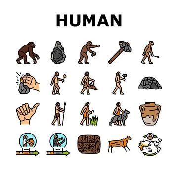 Human evolution man caveman icons set vector 스톡 일러스트