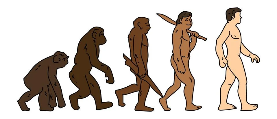 Human evolution. Monkey to Man doodle cartoon concept Illustrazione stock