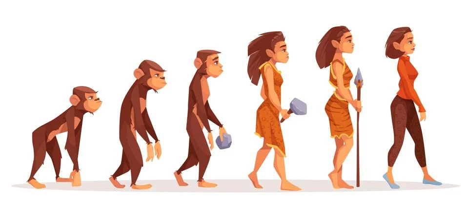 Human evolution from monkey to modern sexy woman 스톡 일러스트