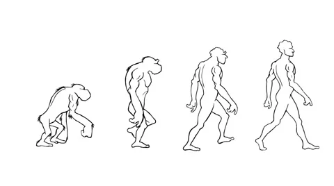 Human evolution morph. Loopable. Alpha matte. From the ape to the homo-sapiens. Stock Footage 54839902