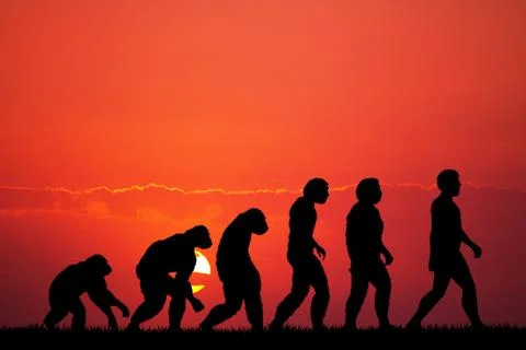 Human evolution silhouette Stock Illustration