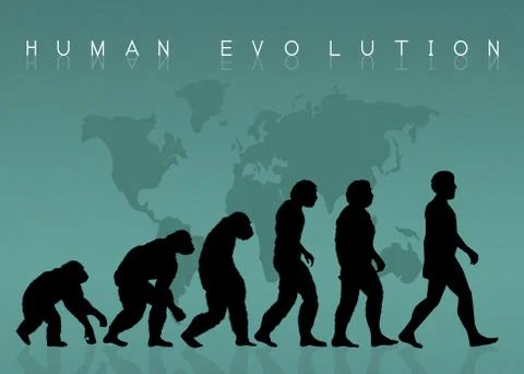 Human evolution silhouette Illustrazione stock
