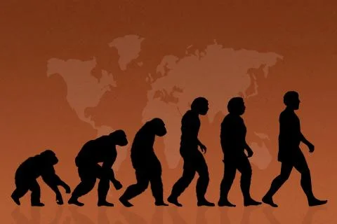 Human evolution species Stock Illustration