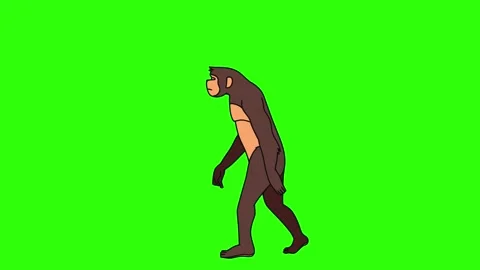 Human walk cycle animation for 30 fps