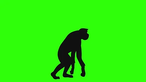 Human evolution walk silhouette. Stock Footage 262450170