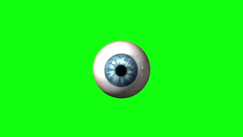 Human eye anatomy on green screen Vídeos de archivo 335552838