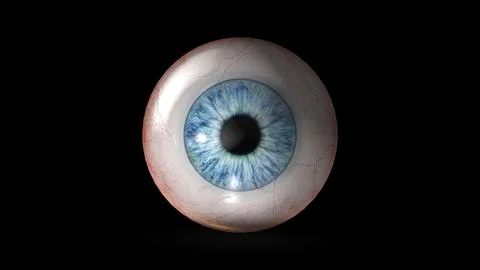Human Eye Ball on black background Illustration
