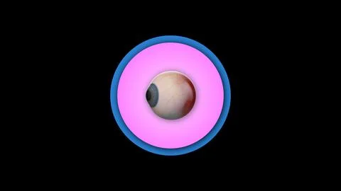 Human eye ball with blue iris isolated on black background Ilustración de archivo